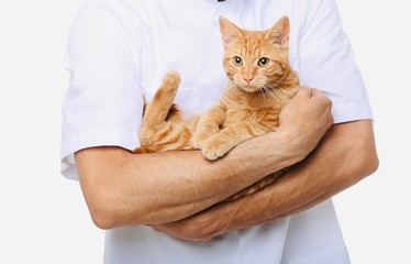 Doctor holding a beautiful little red kitten - Powered by Adobe
