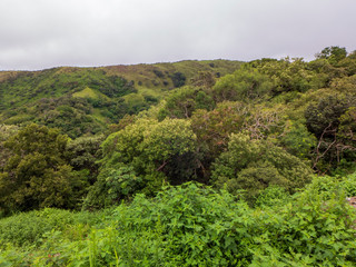 Fahrt in Costa Rica von San José nach Monteverde durch wunderschöne Hügellandschaft