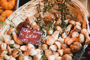 Obraz na płótnie Canvas Fresh wild mushrooms in a wicker basket on a store counter