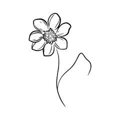 Hand-drawn abstract flower, black and white vector doodle illustration. object is isolated on a white background.