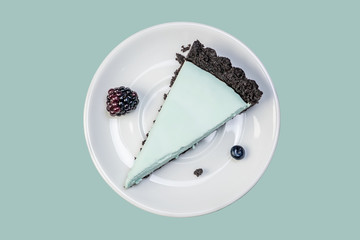 fresh blueberry tart piece on green background