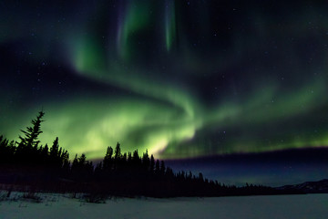 Fototapeta na wymiar Aurora Borealis North of 60