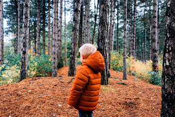 child in the forest looking at the nature in a green, orange and brown pallet colors
