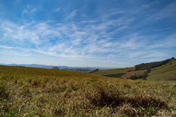 landscape with green field and blue sky