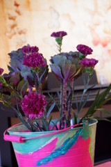 stems of Pin Flowers in a Bucket