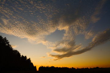 Beautiful clouds at sunset, outlines of trees on the horizon in Ukraine.