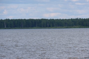 River shore landscape in summer