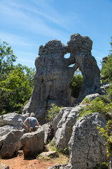 Nature reserve the Pa&iuml;olive Wood in the Ard&egrave;che C&eacute;vennes, France. Forest with limestone rocks at sunny summer day. Natural sculpture: bear and lion rocks