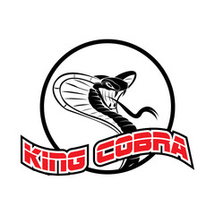 king cobra sport logo vector image