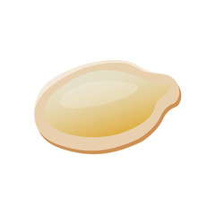 Pumpkin seed vector isolated on white background