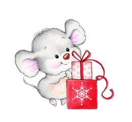 Cute mouse and  gift box - 299650070