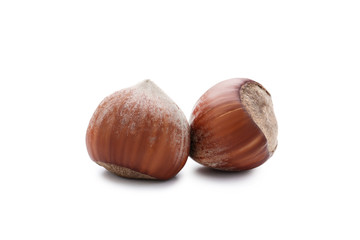 Hazelnuts isolated on white background