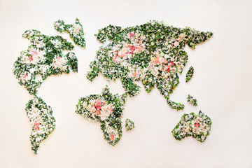 Map of world made from different kinds of flowers, world map on a white wall in the interior, made of flowers. Decor in the big hall. Art Design of the premises