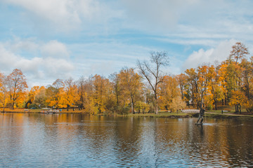 park in the autumn 