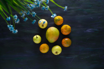 Tangerines, Apples and Mango Fresh Fruit on Hand Painted Canvas.