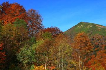 紅葉の八幡平