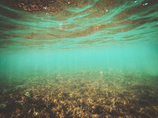 Underwater photo of summer time in Egipt 