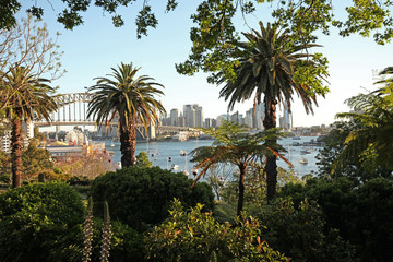 Fototapeta na wymiar Stadtansicht Sydney mit CBD und Harbour Bridge