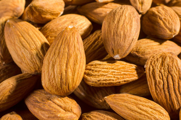 Fototapeta premium many fresh and roasted almonds