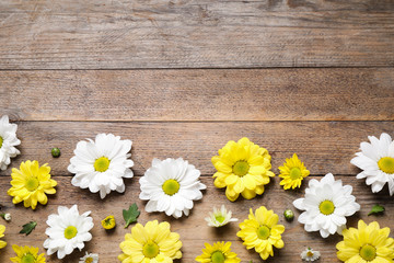 Beautiful chamomile flowers on wooden background, flat lay. Space for text
