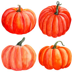set of pumpkins on an isolated white background, watercolor illustration, halloween and Fall