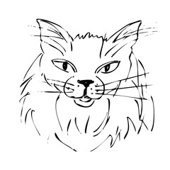A rough outline sketch of a cat's face. Black lines on a white background. Isolated item.