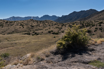 The Organ Mountains in southwest New Mexico.