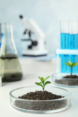Petri dish with soil and sprouted plant on white table. Biological chemistry