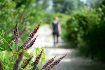 woman walks the path through the forest 