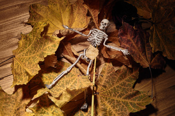 figure of a skeleton in the leaves and rowan berry