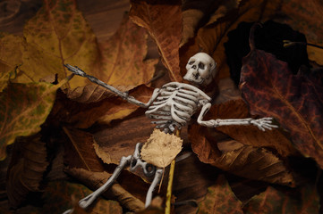 figure of a skeleton in the leaves and rowan berry