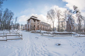 Fototapeta na wymiar castle in thw winter