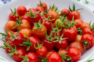 Wild tomatoes in a bowl