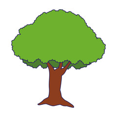 tree icon, flat design