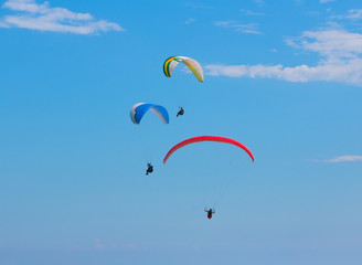 Parachutists on paragliders fly