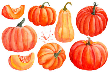 set of pumpkins on an isolated white background, watercolor illustration, halloween and Fall