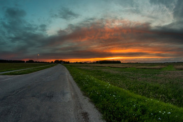 Fototapeta premium road in the field