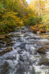 Appalachian Mountain Stream in Autumn Colors.