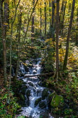 Mountain Waterfall In Autumn Colors.