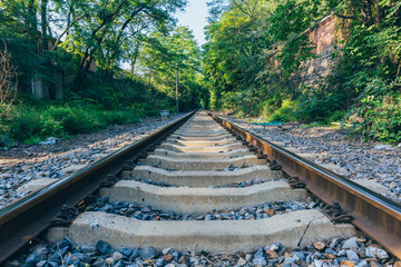 Obraz premium Rusty railroad tracks disappearing outdoors in green forest