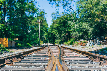 Rusty railroad tracks disappearing outdoors in green forest