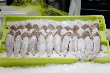pescado