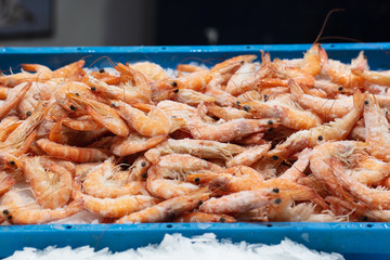 gambas