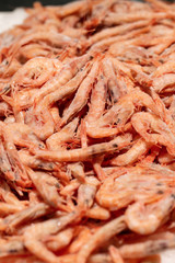 gambas