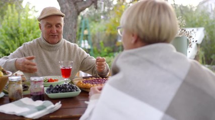 Over-shoulder medium shot of elderly Caucasian man in woolly sweater and cap enjoying simple lunch outdoors under garden gazebo with wife, saying toast with excitement, then both raising glasses - Powered by Adobe