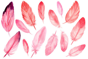 set of abstract pink feathers on an isolated white background, watercolor illustration, hand drawing