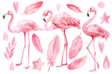 set of elements on an isolated white background, flamingos, pink feathers,  stars, hearts, drops, watercolor illustration, hand drawing © Hanna