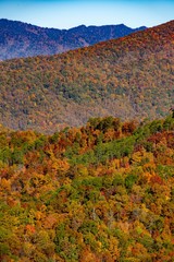 Autumn Vista of The Smoky Mountains.