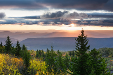 Colorful Forest from Mountain Overlook in Fall