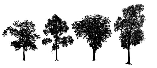 Collection of trees isolated on white.
